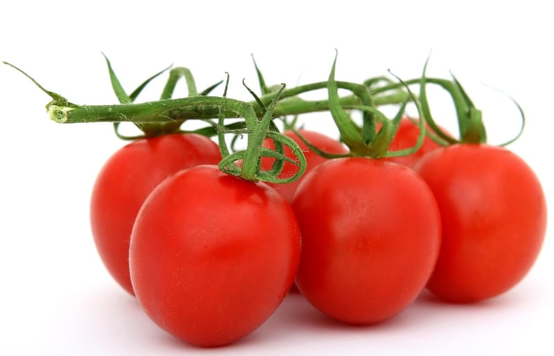 Sustainable Cooking